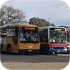 Murton's City Bus fleet images